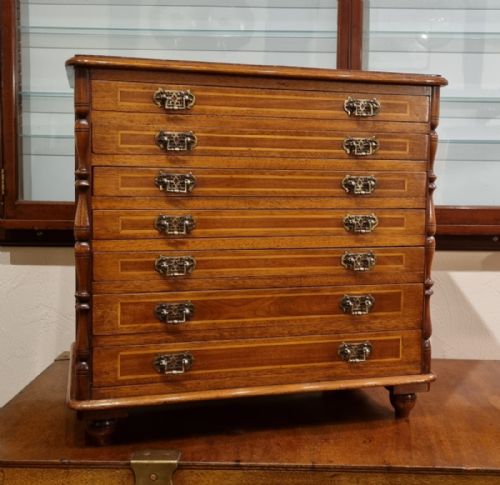 A UNIQUE MAHOGANY BOXWOOD SPECIMEN CHEST FROM THE LATE 19TH CENTURY - ADDITIONAL PHOTO 1