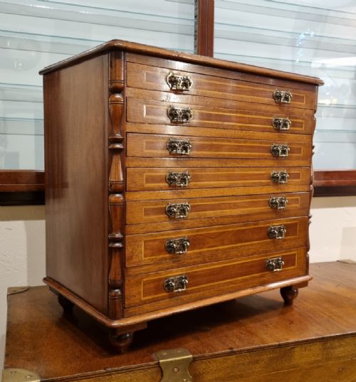 A UNIQUE MAHOGANY BOXWOOD SPECIMEN CHEST FROM THE LATE 19TH CENTURY - ADDITIONAL PHOTO 2