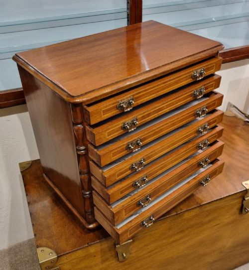 A UNIQUE MAHOGANY BOXWOOD SPECIMEN CHEST FROM THE LATE 19TH CENTURY - ADDITIONAL PHOTO 3