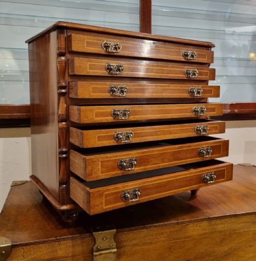 A UNIQUE MAHOGANY BOXWOOD SPECIMEN CHEST FROM THE LATE 19TH CENTURY - ADDITIONAL PHOTO 4
