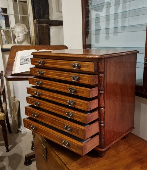 A UNIQUE MAHOGANY BOXWOOD SPECIMEN CHEST FROM THE LATE 19TH CENTURY - ADDITIONAL PHOTO 5