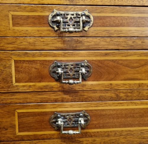 A UNIQUE MAHOGANY BOXWOOD SPECIMEN CHEST FROM THE LATE 19TH CENTURY - ADDITIONAL PHOTO 6