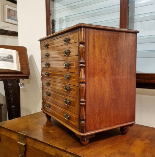 A UNIQUE MAHOGANY BOXWOOD SPECIMEN CHEST FROM THE LATE 19TH CENTURY - ADDITIONAL PHOTO 7