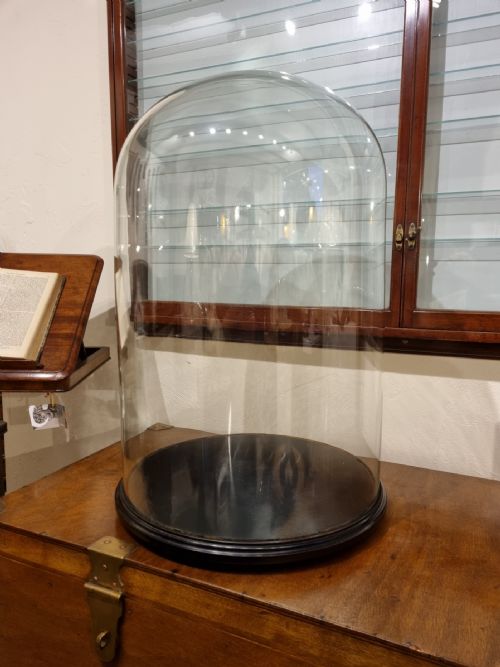 A VERY LARGE 19TH CENTURY GLASS DOME ON AN EBONISED BASE - ADDITIONAL PHOTO 1