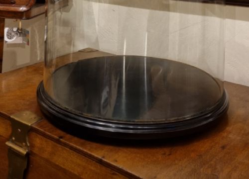 A VERY LARGE 19TH CENTURY GLASS DOME ON AN EBONISED BASE - ADDITIONAL PHOTO 2