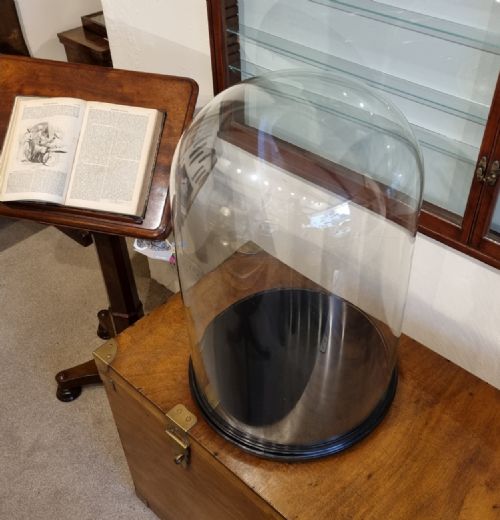 A VERY LARGE 19TH CENTURY GLASS DOME ON AN EBONISED BASE - ADDITIONAL PHOTO 3