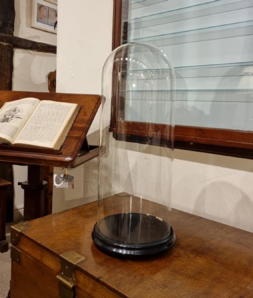 a tall well proportioned 19th century glass dome on an ebonised base - CATEGORY: ANTIQUE MISCELLANEOUS - DATED 19TH CENTURY