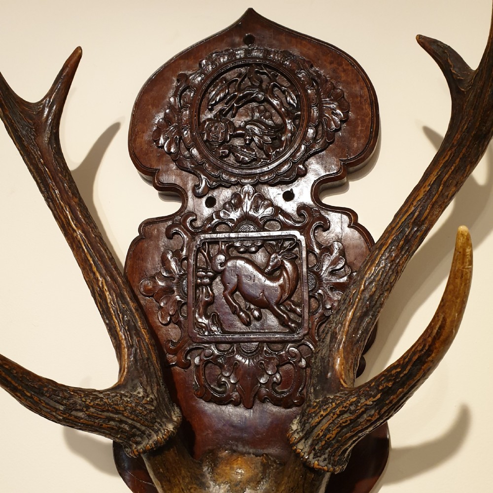 A 19th Century carved & decorated wooden stag's head  View VI