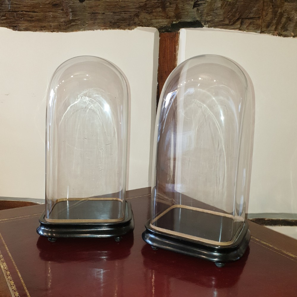 Pair of 19th Century glass domes with ebonised bases 