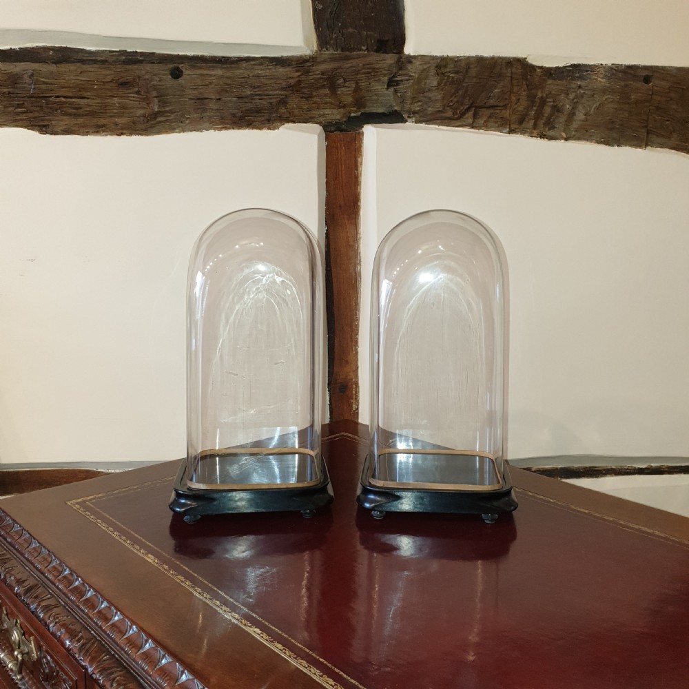 Pair of 19th Century glass domes with ebonised bases  View II