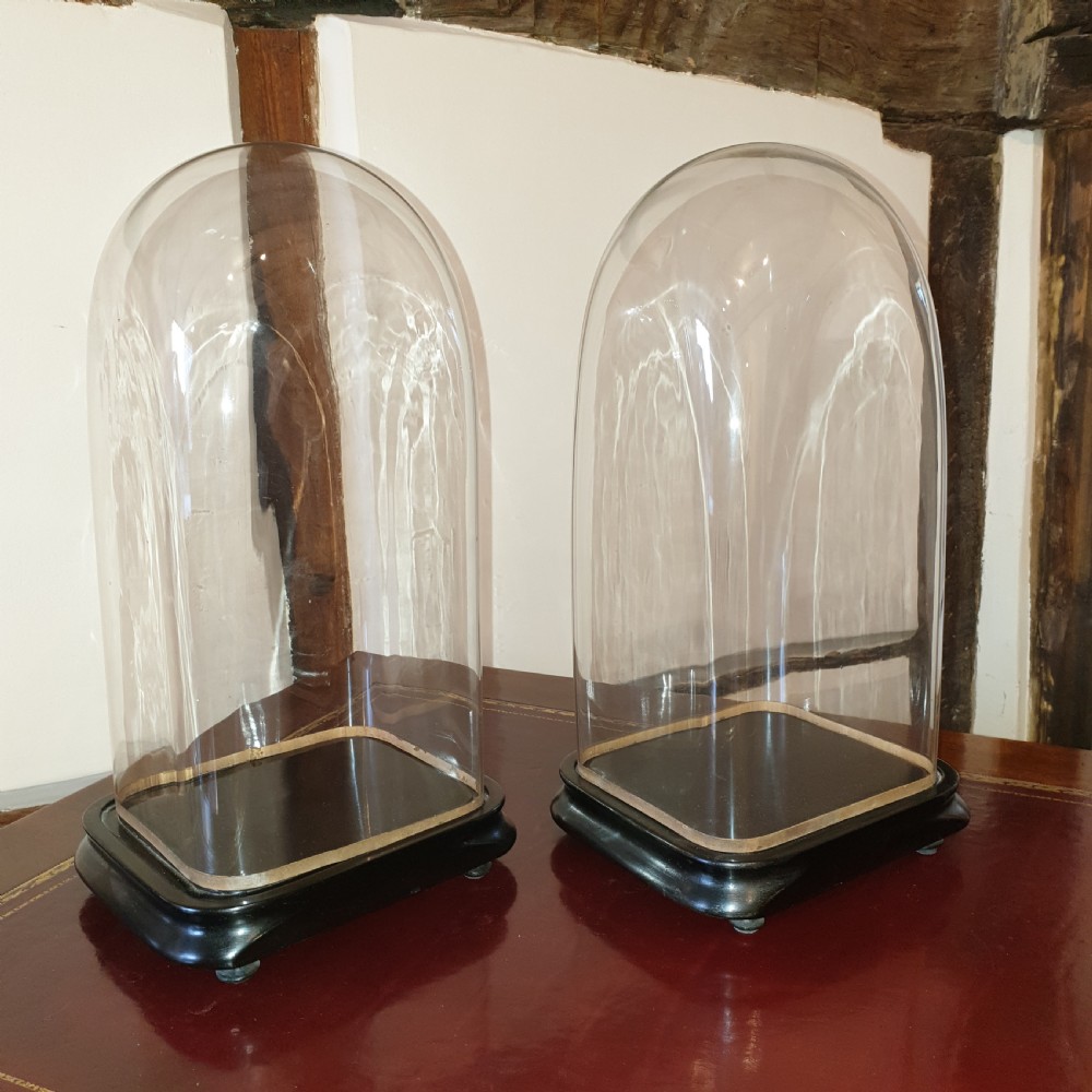 Pair of 19th Century glass domes with ebonised bases  View III