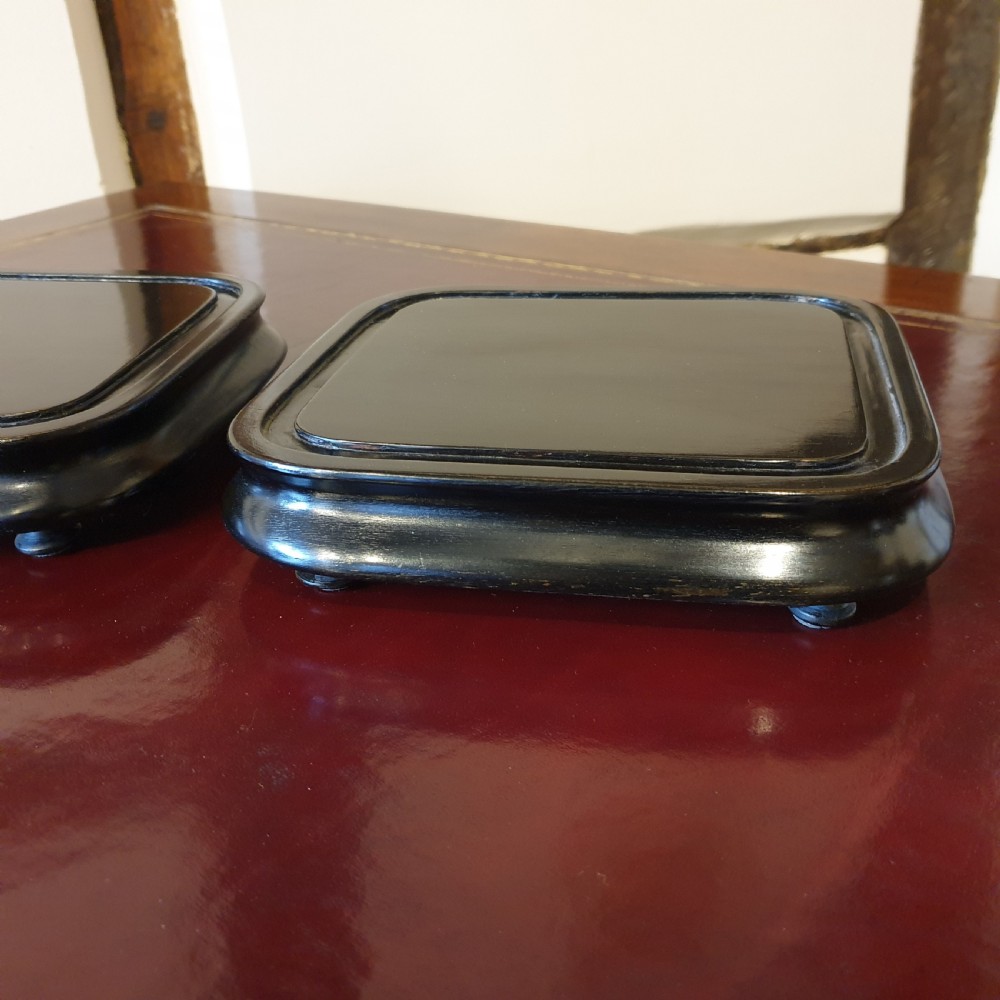 Pair of 19th Century glass domes with ebonised bases  View V