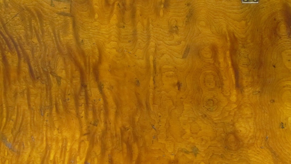 19th Century brass-bound camphor wood chest - a very large example originally owned by a family from New York. View V