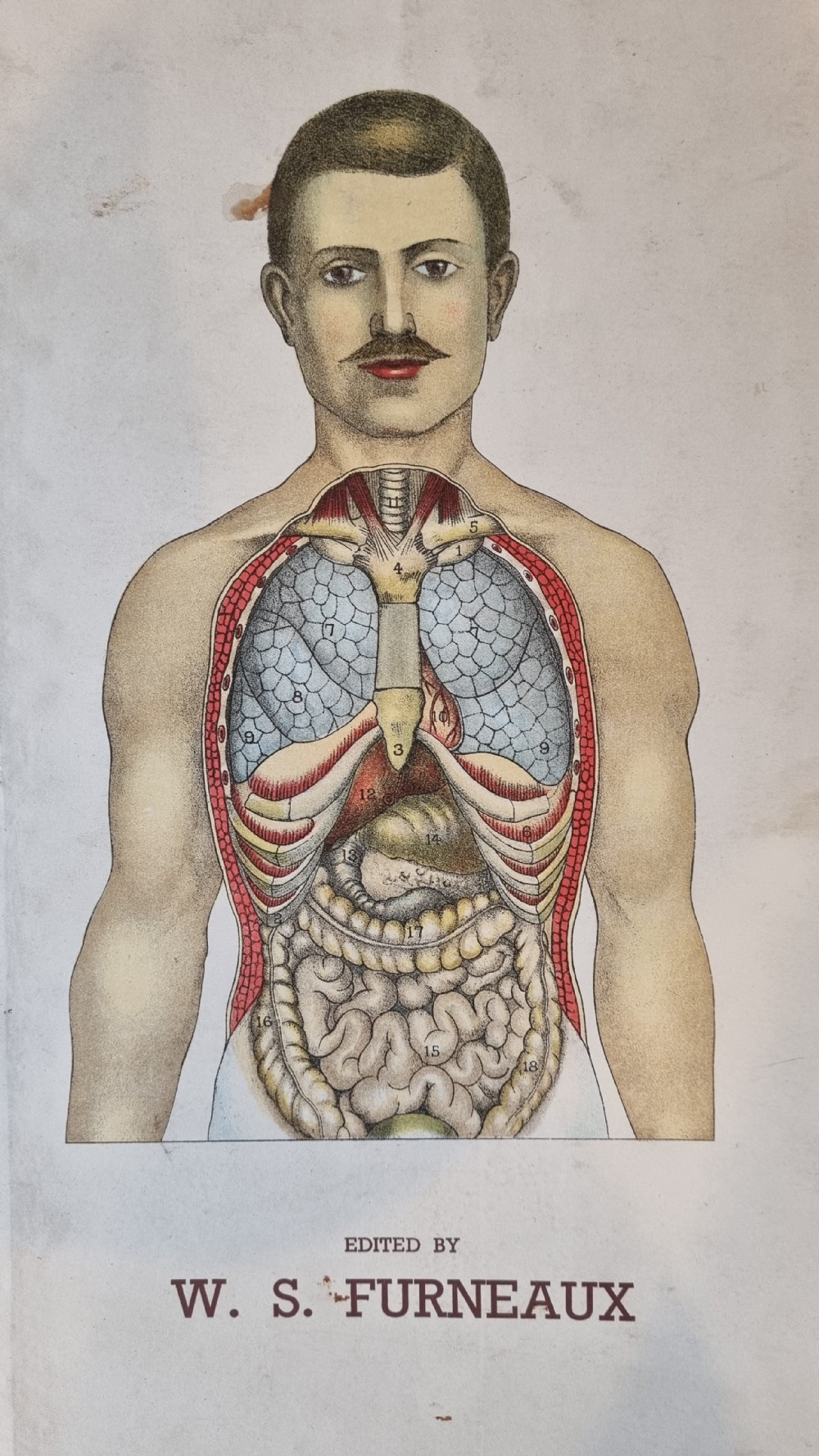 Philips' Popular Manikin Edited by W S Furneaux  View IV