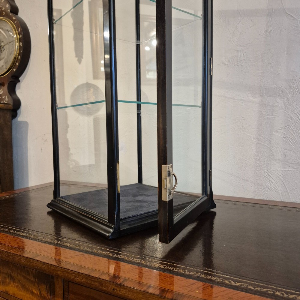 A tall rectangular glass display cabinet featuring an ebonised wooden frame and two interior glass shelves. View III