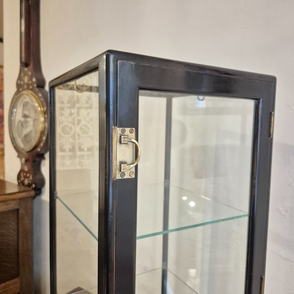 A tall rectangular glass display cabinet featuring an ebonised wooden frame and two interior glass shelves. View IV