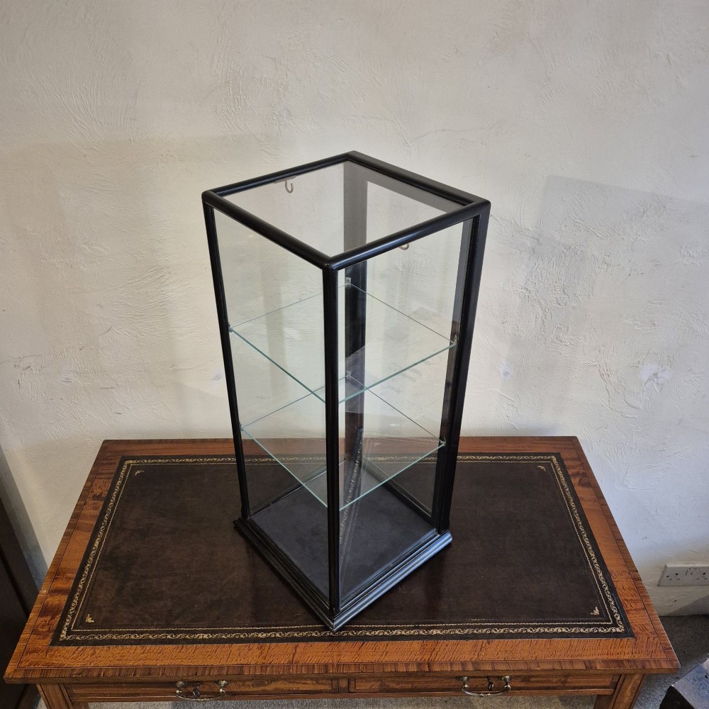 A tall rectangular glass display cabinet featuring an ebonised wooden frame and two interior glass shelves. View V