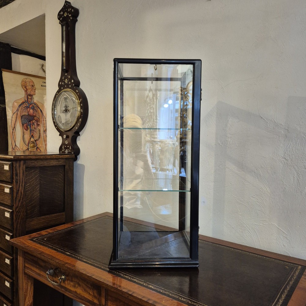 A tall rectangular glass display cabinet featuring an ebonised wooden frame and two interior glass shelves. View VI