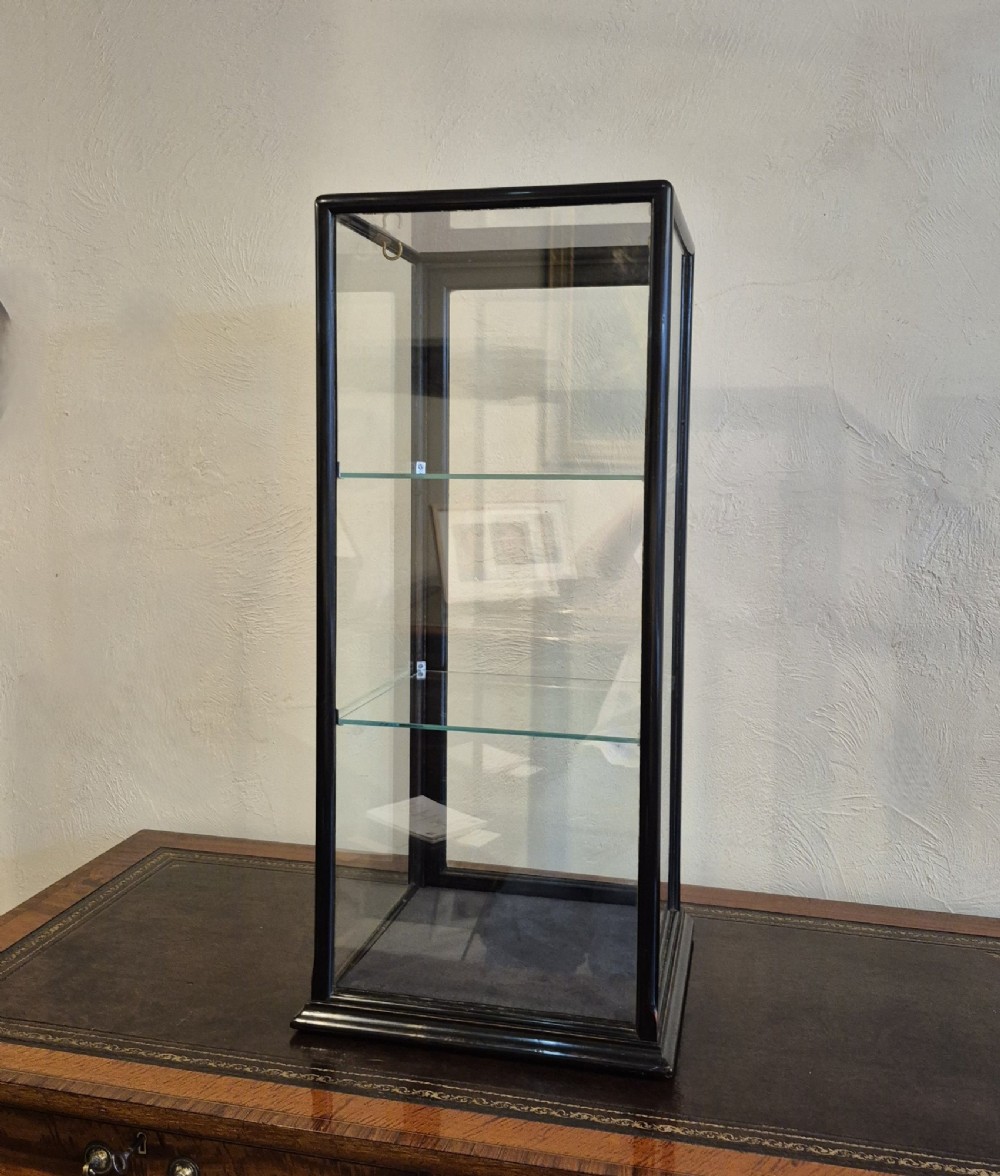 A tall rectangular glass display cabinet featuring an ebonised wooden frame and two interior glass shelves. View VII
