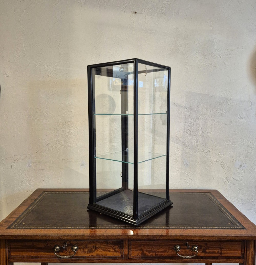 A tall rectangular glass display cabinet featuring an ebonised wooden frame and two interior glass shelves. View VIII