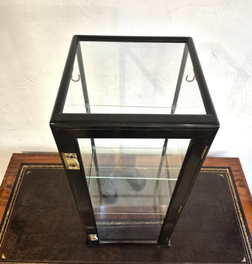 A tall rectangular glass display cabinet featuring an ebonised wooden frame and two interior glass shelves. View IX