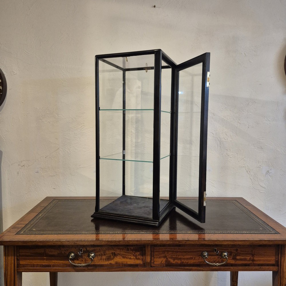 A tall rectangular glass display cabinet featuring an ebonised wooden frame and two interior glass shelves. View X