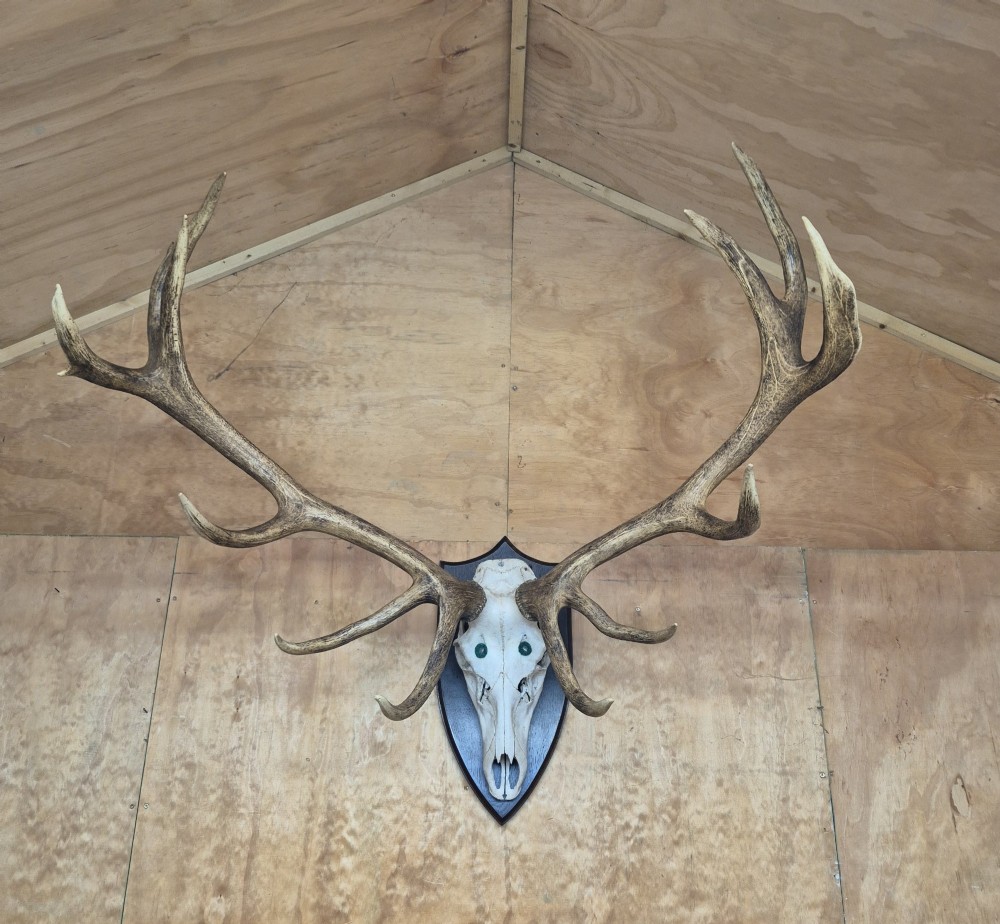 Alternate View