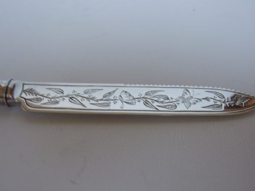 fig 1. A rare Victorian butterfly engraved silver cakeknife.