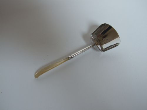 A Rare Georgian Silver and Mother of Pearl Caddy Spoon.