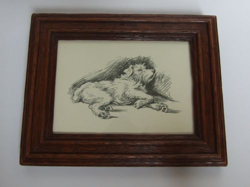 A Delightful Lucy Dawson Framed Vintage Print of a Selyham Terrier.