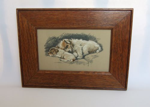 A Lovely Vintage Print of a Jack Russell and Puppy by Lucy Dawson