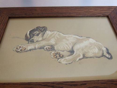 fig 1. A charming Lucy Dawson vintage print of a sleeping Fox Terrier puppy.