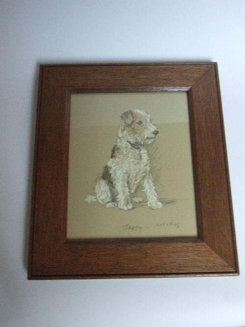 fig 1. A delightful Lucy Dawson vintage print of a wire haired Terrier 'Taffy'.