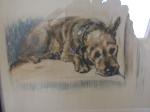 fig 1. A charming vintage Lucy Dawson print of a wire haired Terrier.