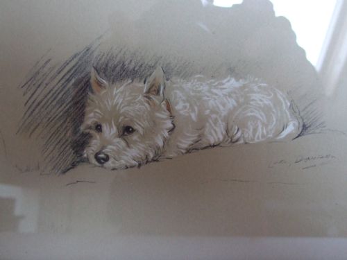 fig 1. A gorgeous vintage Lucy Dawson print of a Westie.