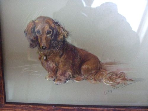 fig 1. A lovely vintage Lucy Dawson print of a long haired dachshund.