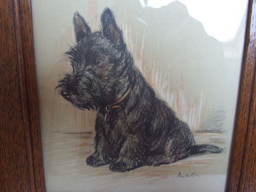 fig 1. A charming vintage Lucy Dawson framed vintage print of a 'Scottie'.