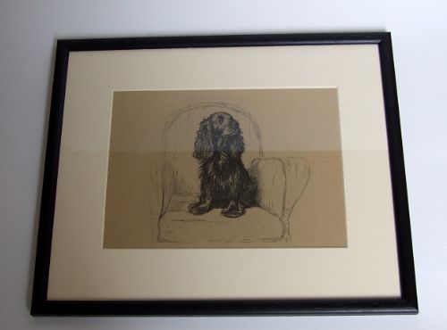A Charming Vintage Cecil Aldin Print of a Spaniel.
