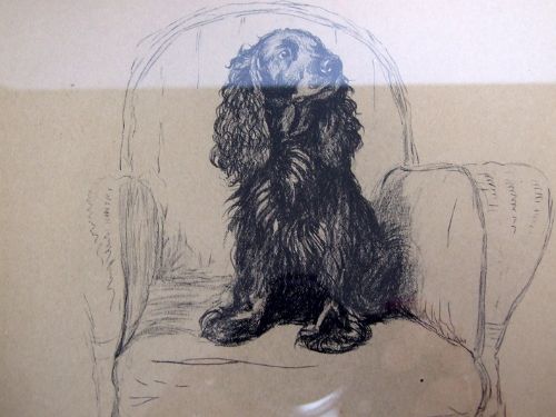 fig 1. A charming vintage Cecil Aldin print of a Spaniel.