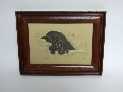 A Charming Vintage Lucy Dawson Print of a Spaniel.