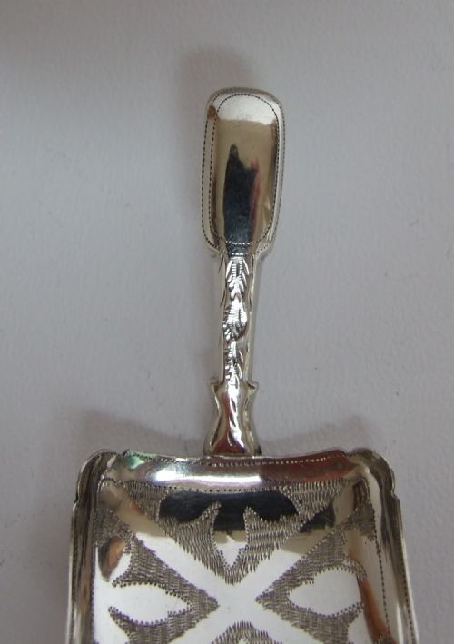 fig 1. A gorgeous George IV silver caddy spoon.