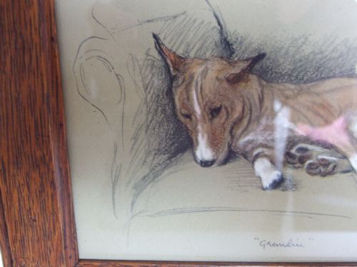 fig 1. A charming vintage Lucy Dawson print of a Bull Terrier in a handsome oak frame.