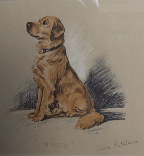 fig 1. A gorgeous vintage Golden Retriever print by Lucy Dawson