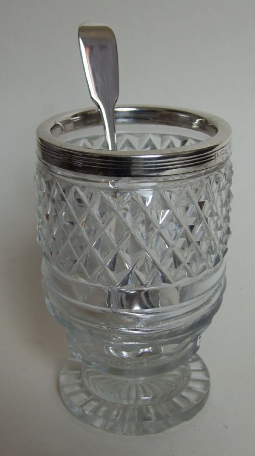 A Rare Georgian Silver Mounted Dry Mustard and Spoon.