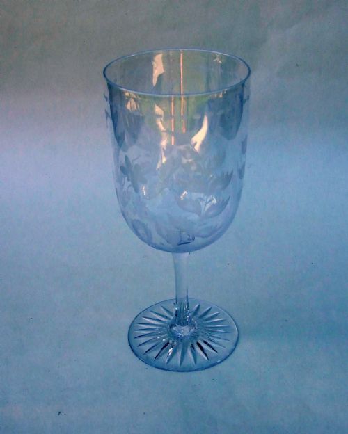 A Charming Victorian Etched Wine Goblet Featuring Ferns and Bees.