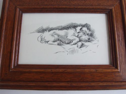 A Delightful Vintage Lucy Dawson Print of a Terrier.