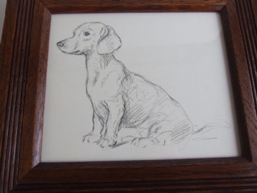 A Vintage Lucy Dawson Print of a Dachshund in an Oak Frame.