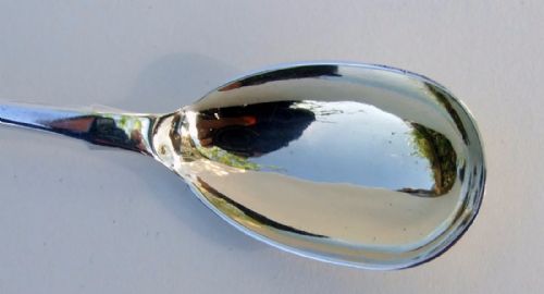 fig 1. A rare Victorian Exeter silver condiment spoon.