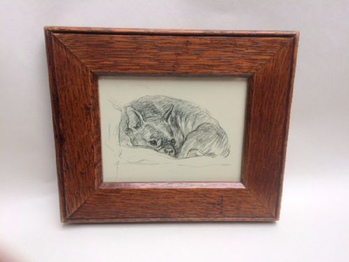A Rare Lucy Dawson Vintage Print of a French Bulldog.