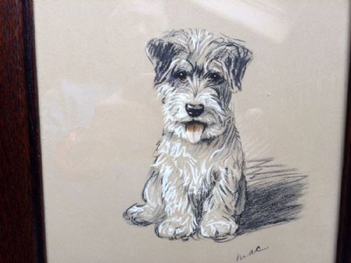 fig 1. A Lucy Dawson vintage print of a wire haired terrier puppy.